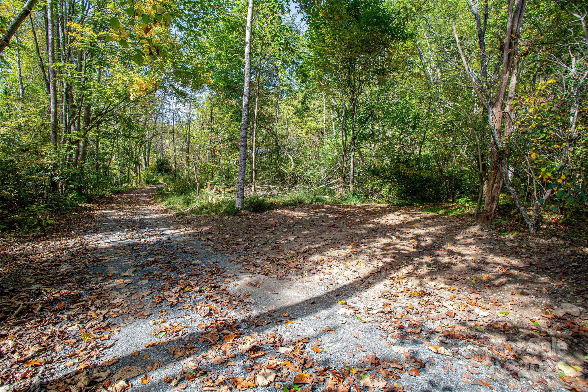 10 Dodd Road Barnardsville NC 28709