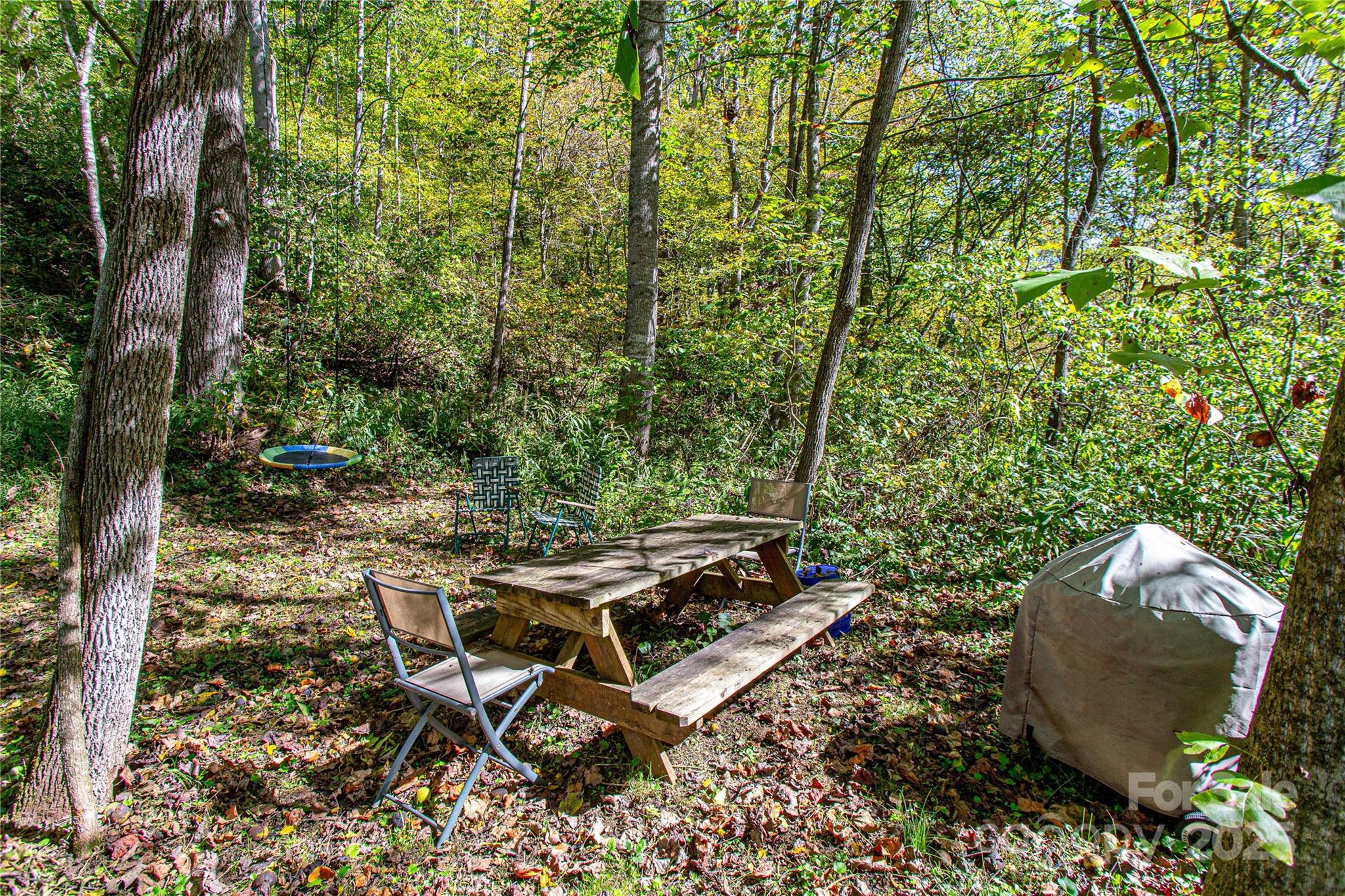 10 Dodd Road Barnardsville NC 28709