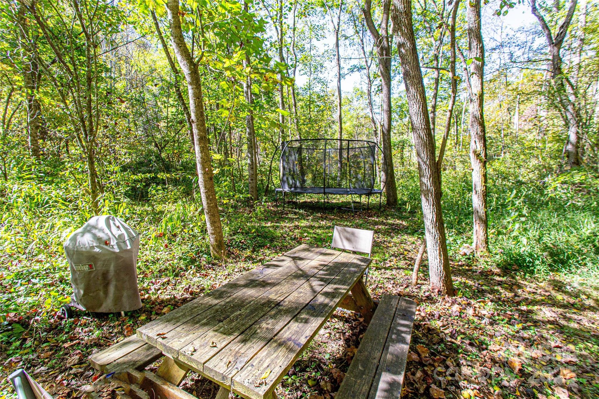 10 Dodd Road Barnardsville NC 28709