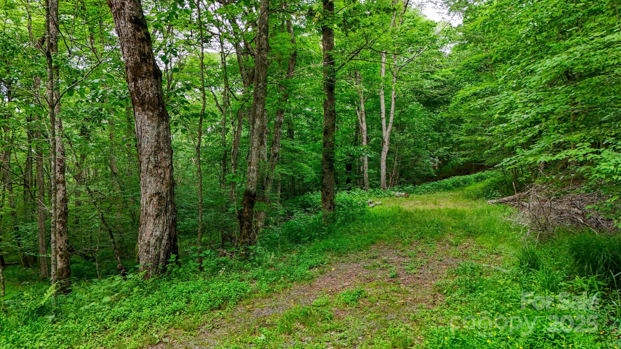233 Woodland Springs Trail Boone NC 28607