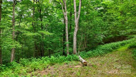 233 Woodland Springs Trail Boone NC 28607