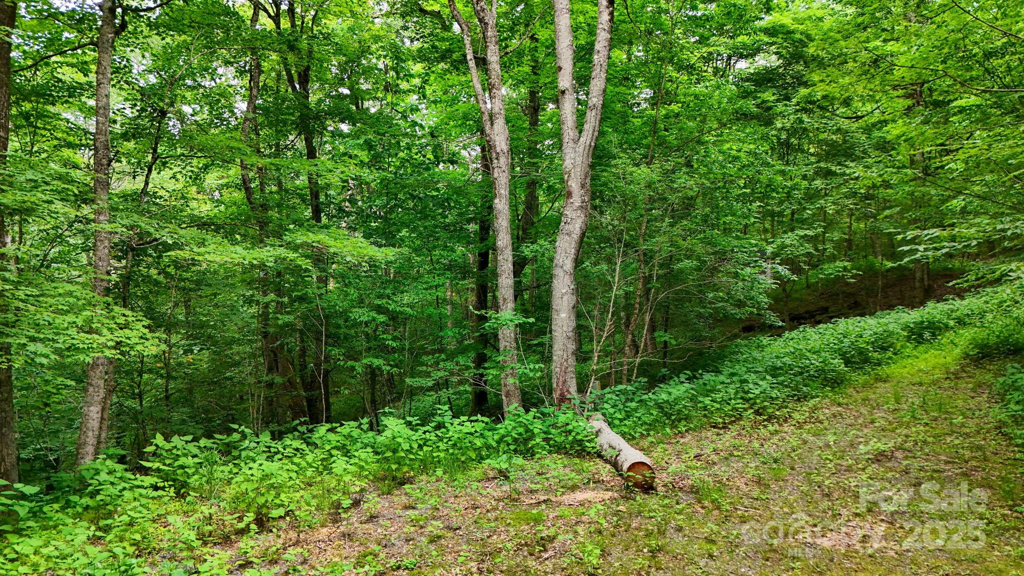 233 Woodland Springs Trail Boone NC 28607