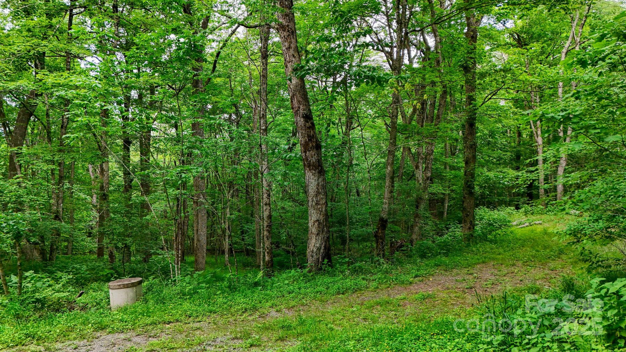 233 Woodland Springs Trail Boone NC 28607