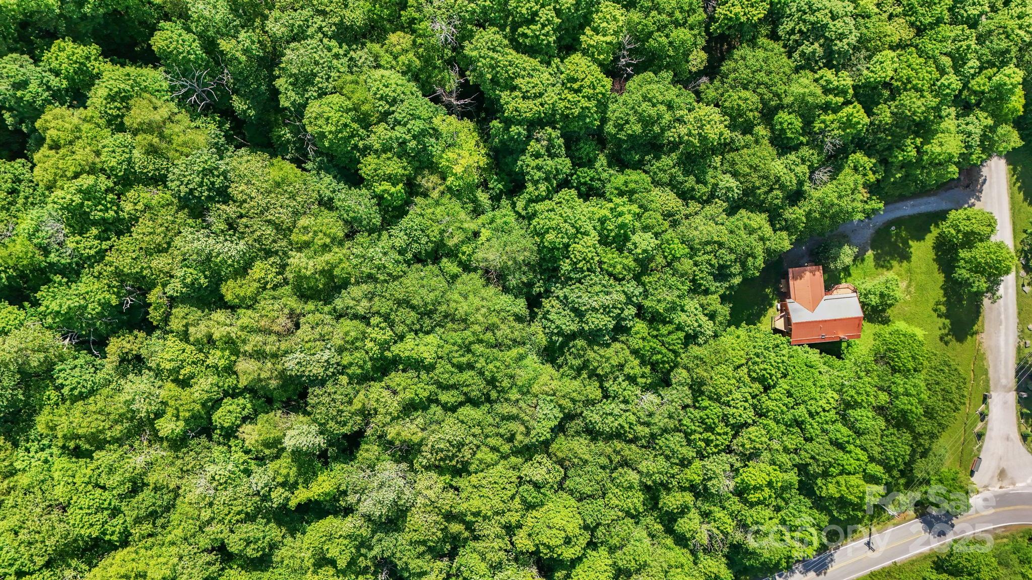 233 Woodland Springs Trail Boone NC 28607