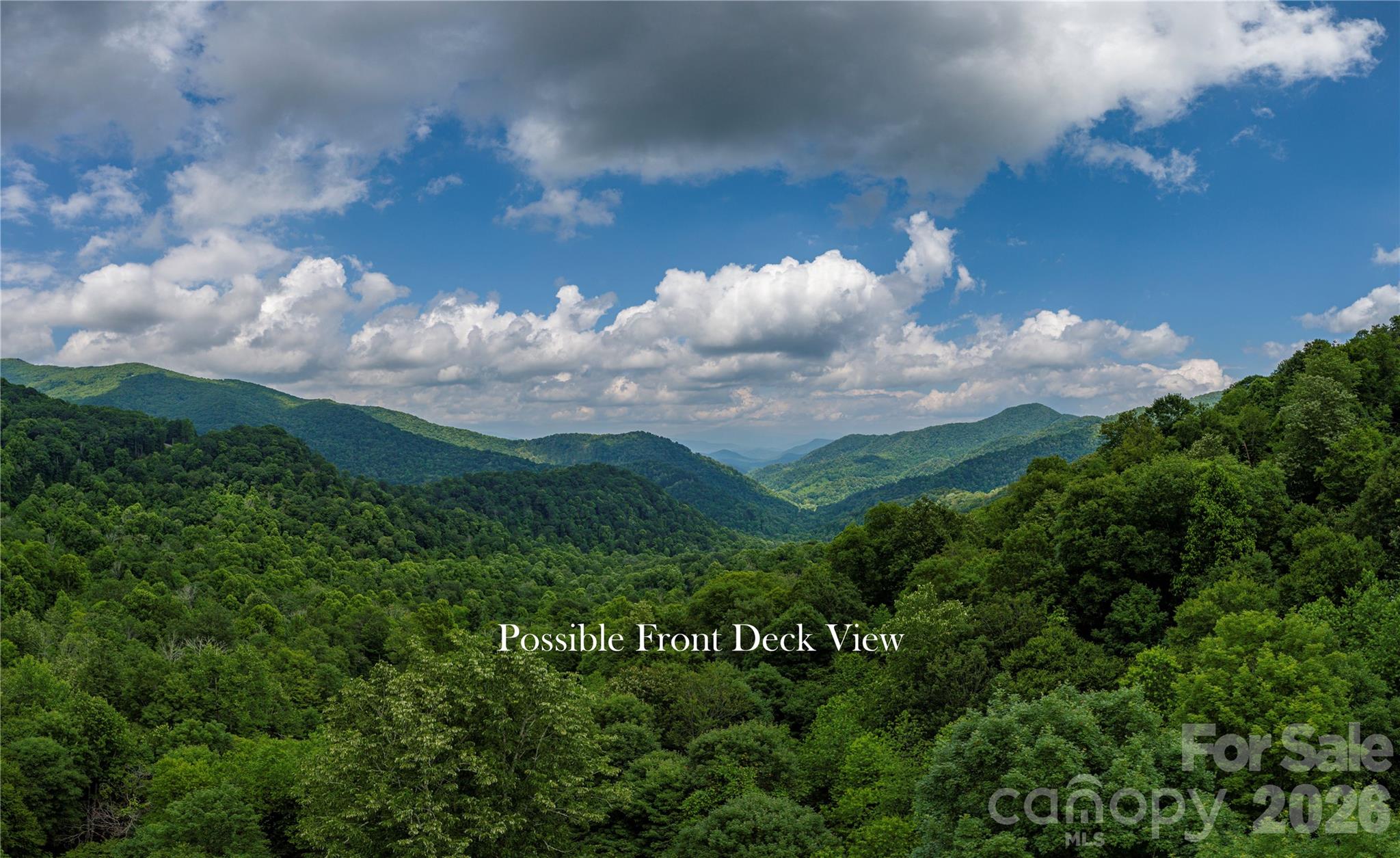 10 Mountain Gait Drive Mars Hill NC 28754