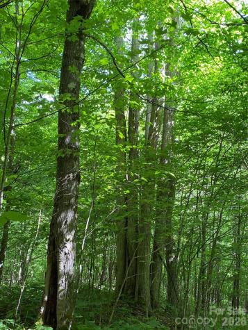 10 Mountain Gait Drive Mars Hill NC 28754