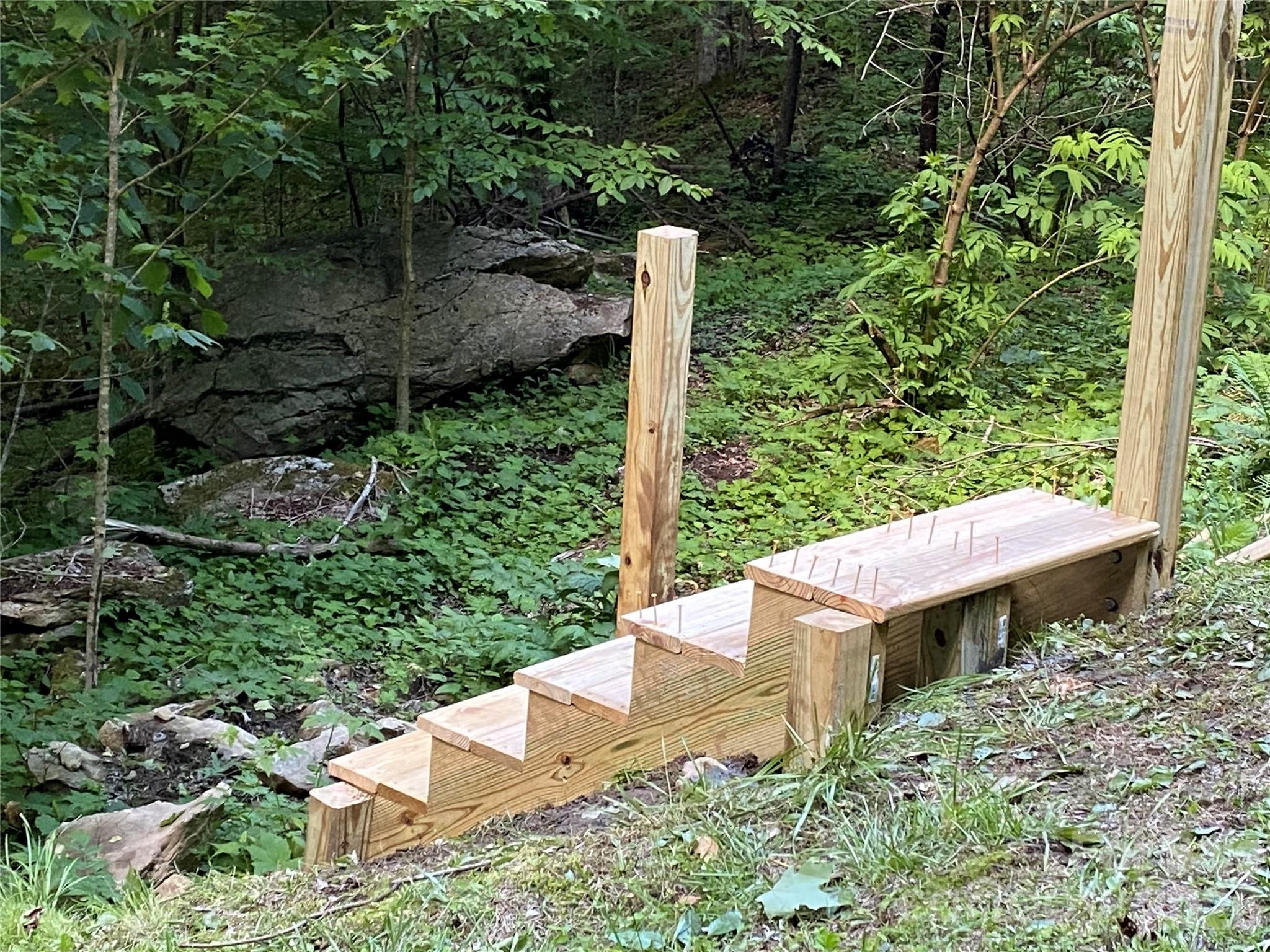 10 Mountain Gait Drive Mars Hill NC 28754