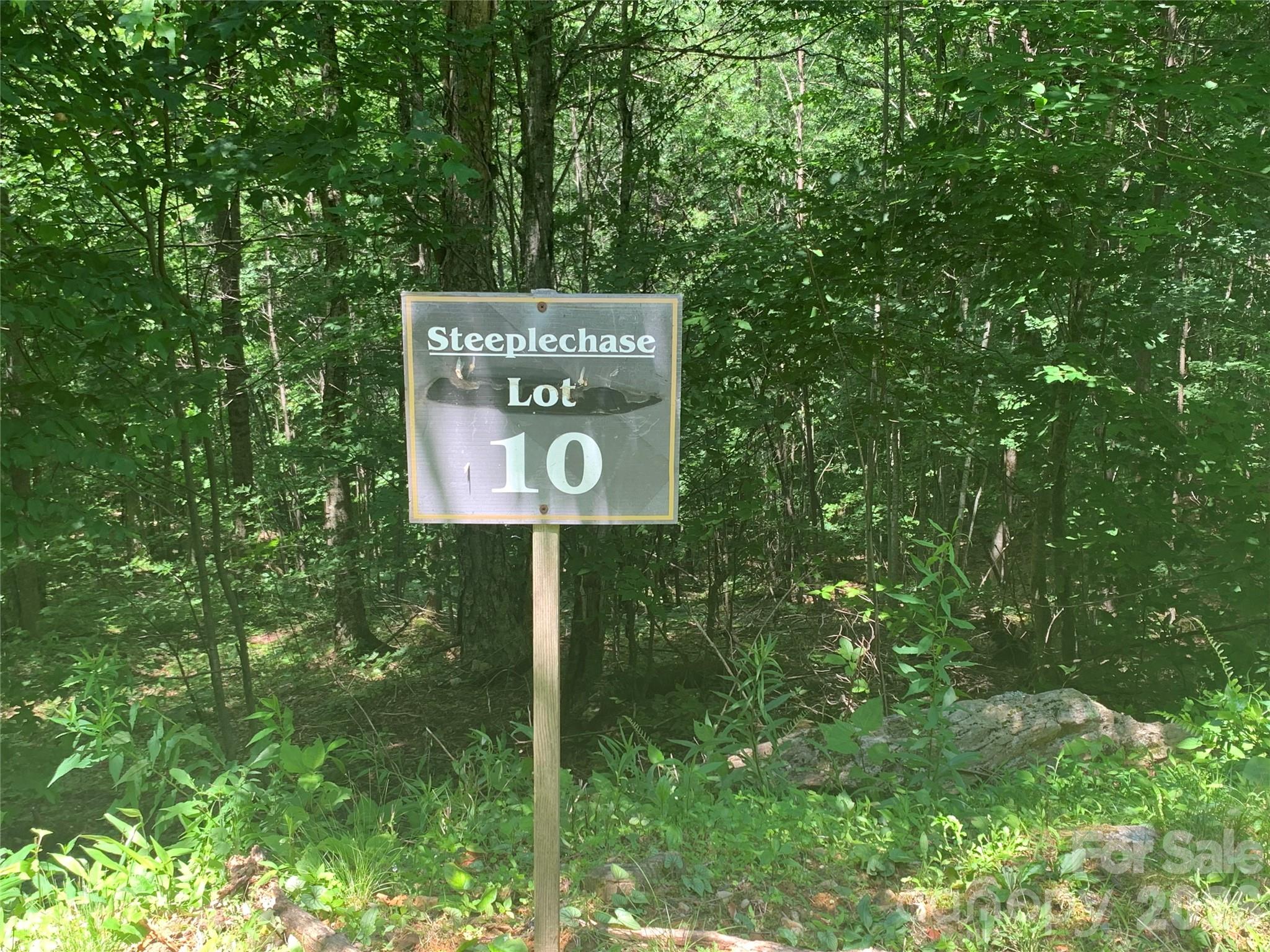 10 Mountain Gait Drive Mars Hill NC 28754