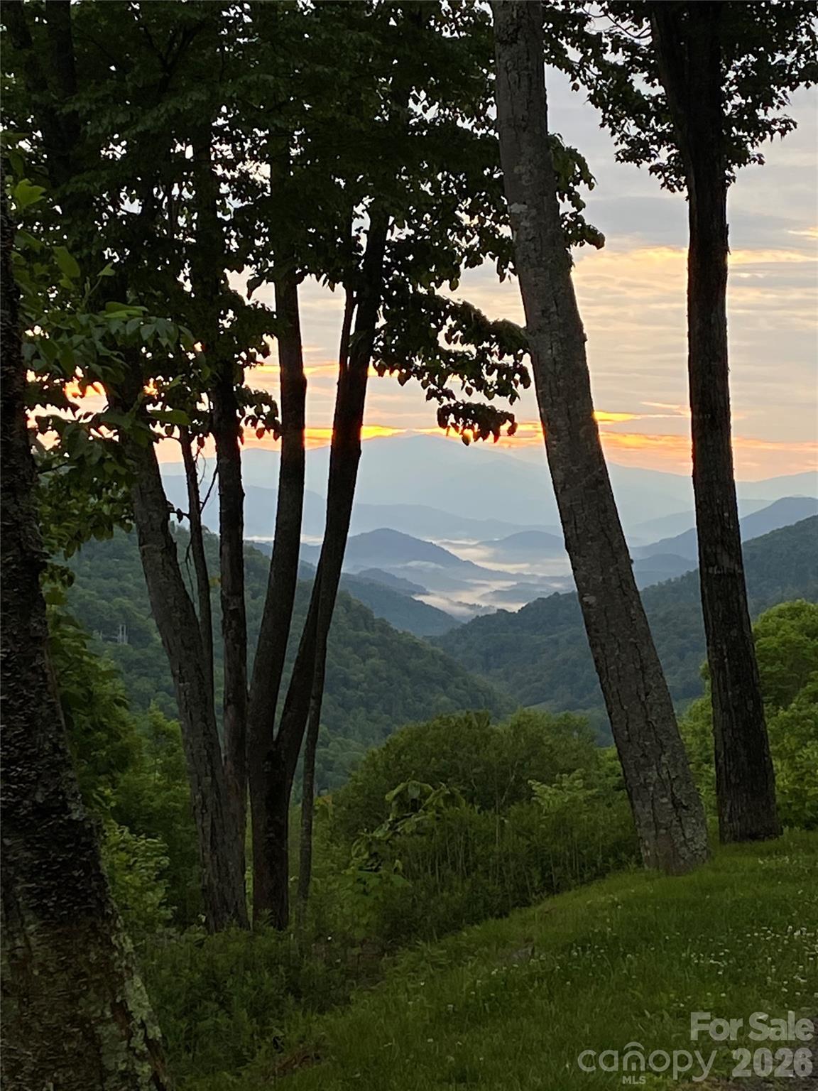 10 Mountain Gait Drive Mars Hill NC 28754