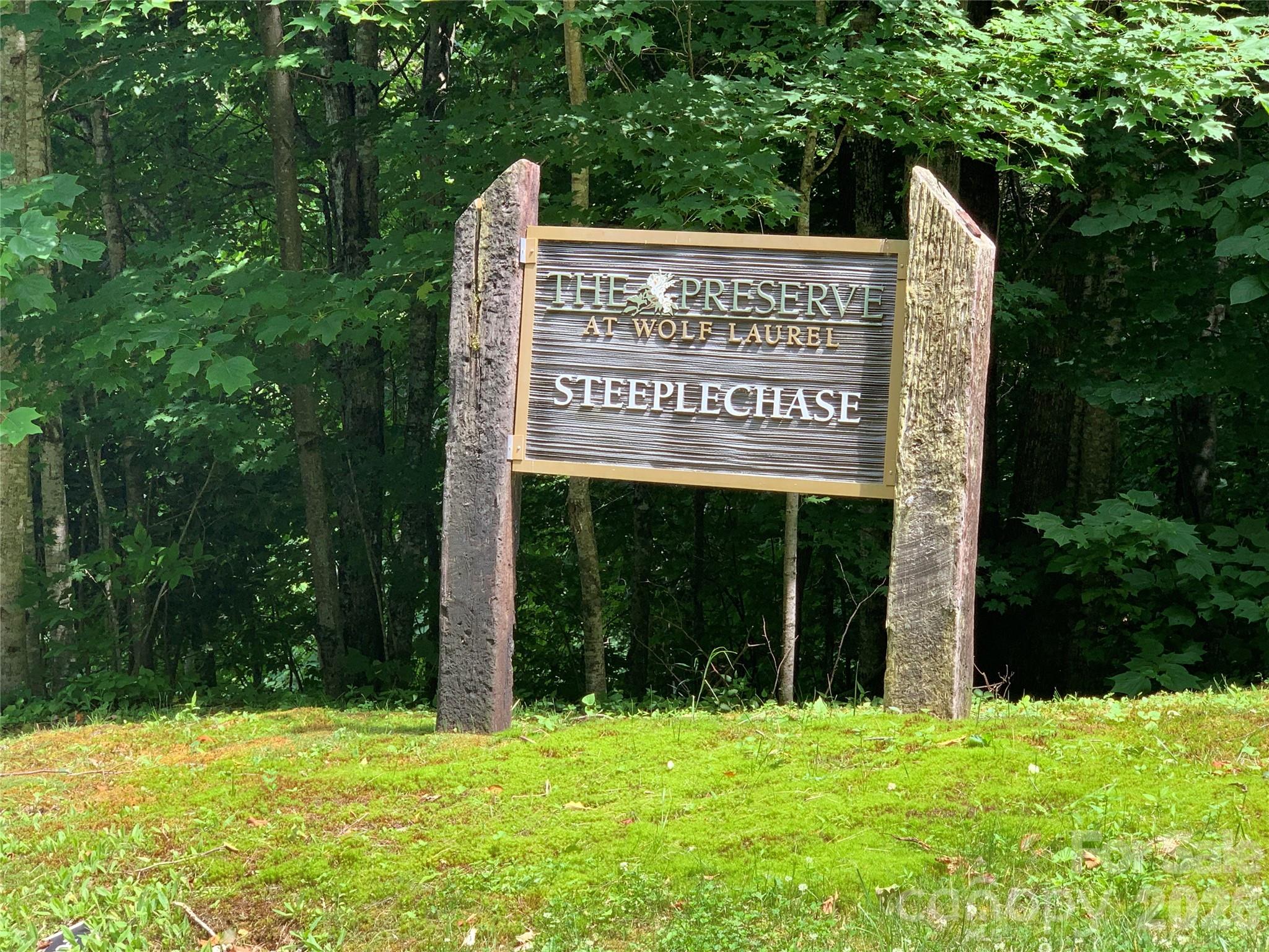 10 Mountain Gait Drive Mars Hill NC 28754