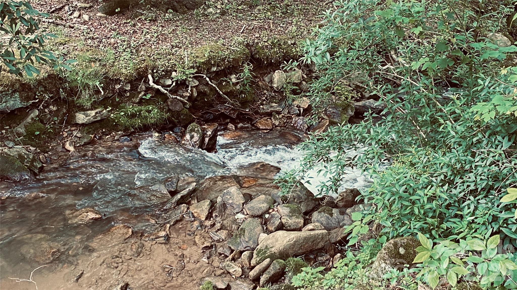 10 Mountain Gait Drive Mars Hill NC 28754