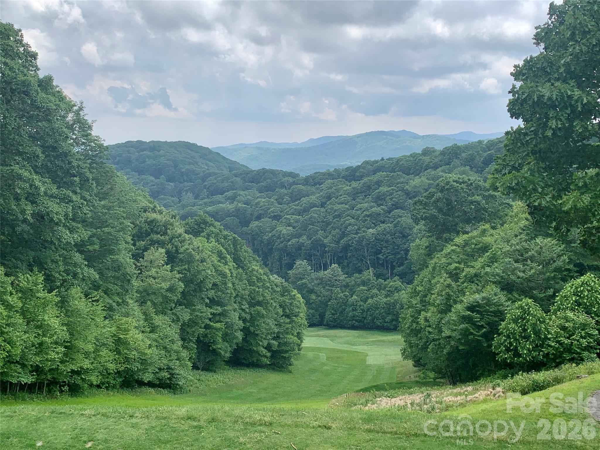 10 Mountain Gait Drive Mars Hill NC 28754