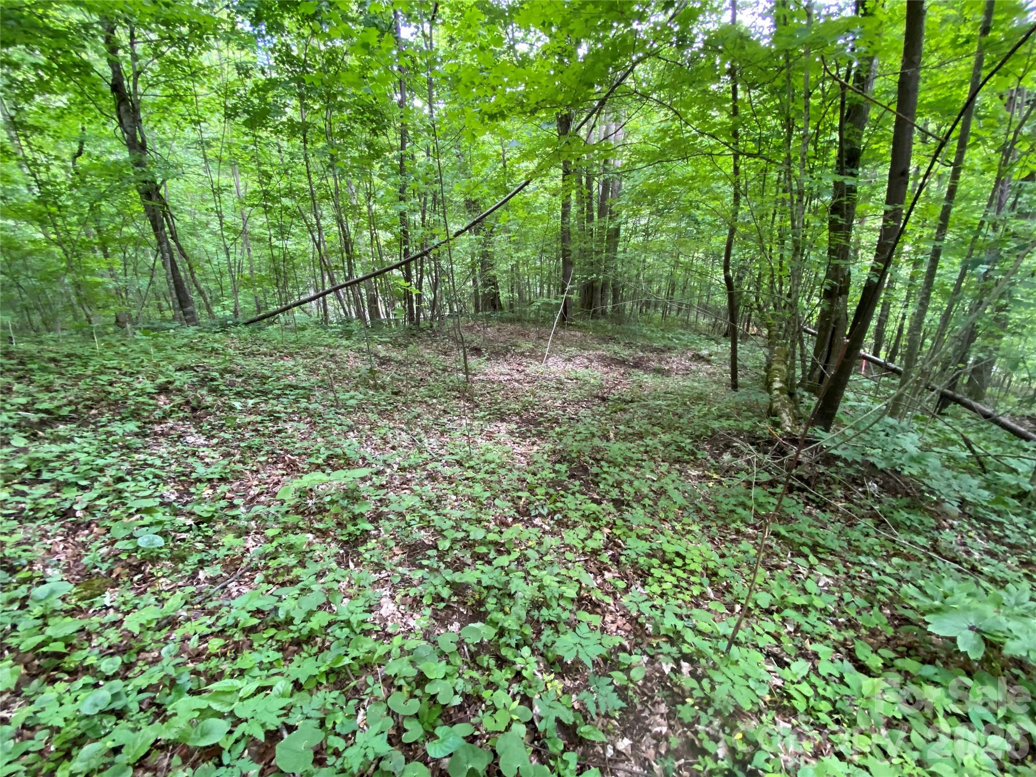 10 Mountain Gait Drive Mars Hill NC 28754