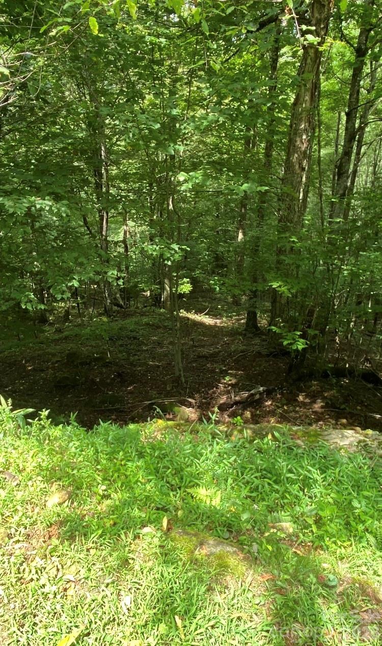 10 Mountain Gait Drive Mars Hill NC 28754