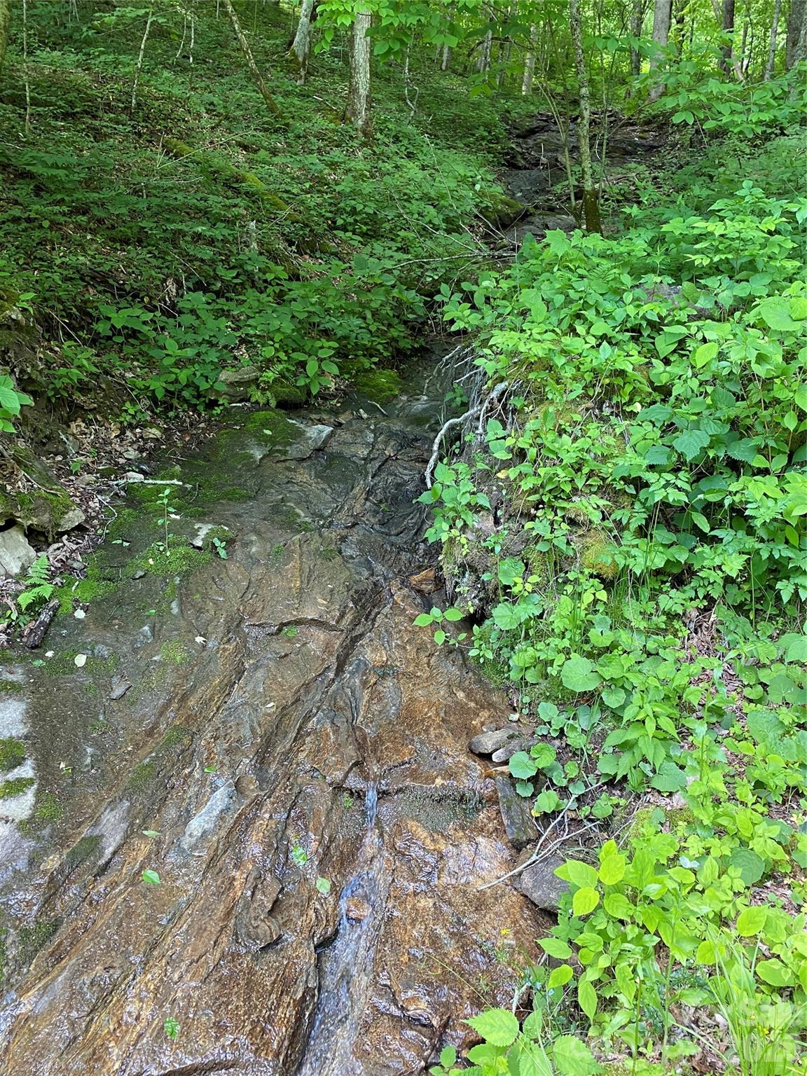 10 Mountain Gait Drive Mars Hill NC 28754