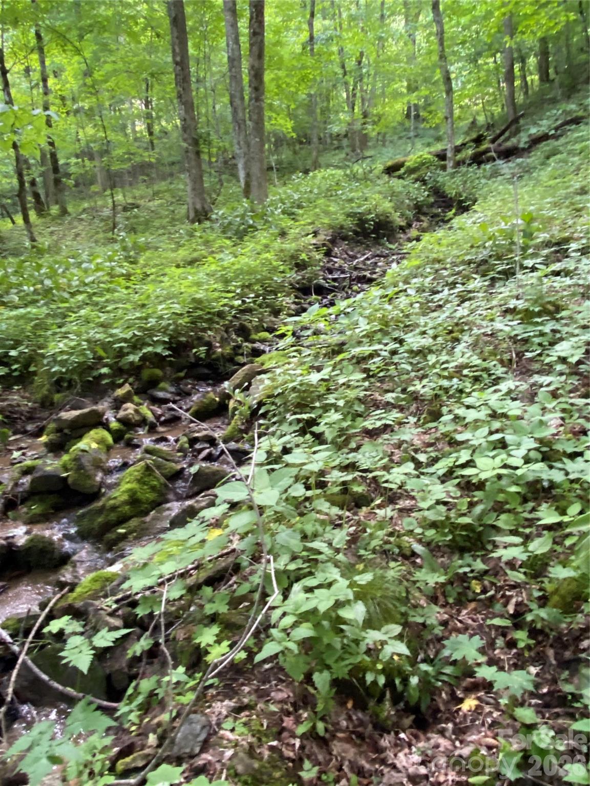 10 Mountain Gait Drive Mars Hill NC 28754