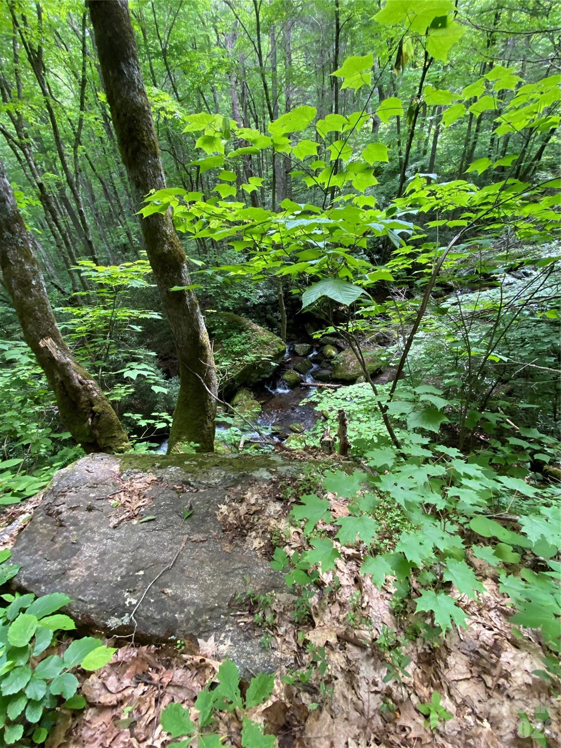 10 Mountain Gait Drive Mars Hill NC 28754