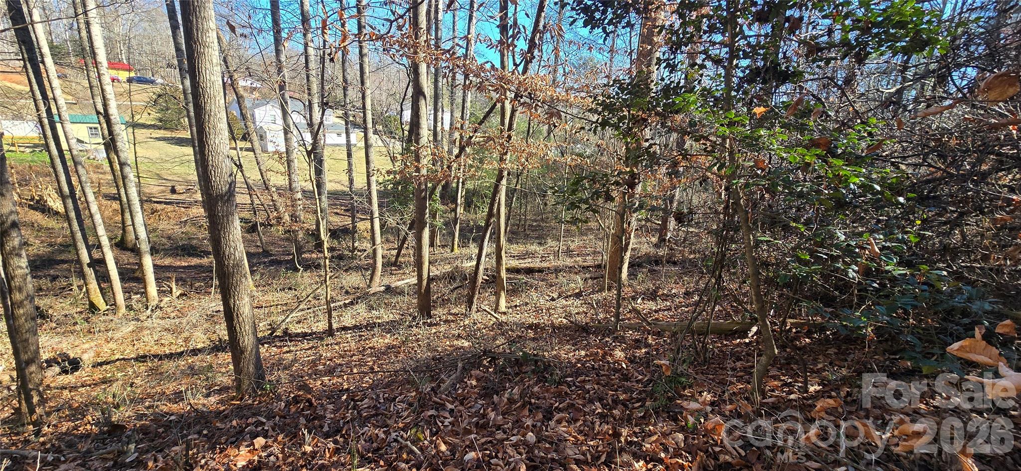0 Peak Place Lenoir NC 28645