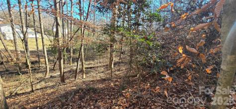 0 Peak Place Lenoir NC 28645