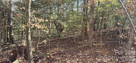 0 Peak Place Lenoir NC 28645