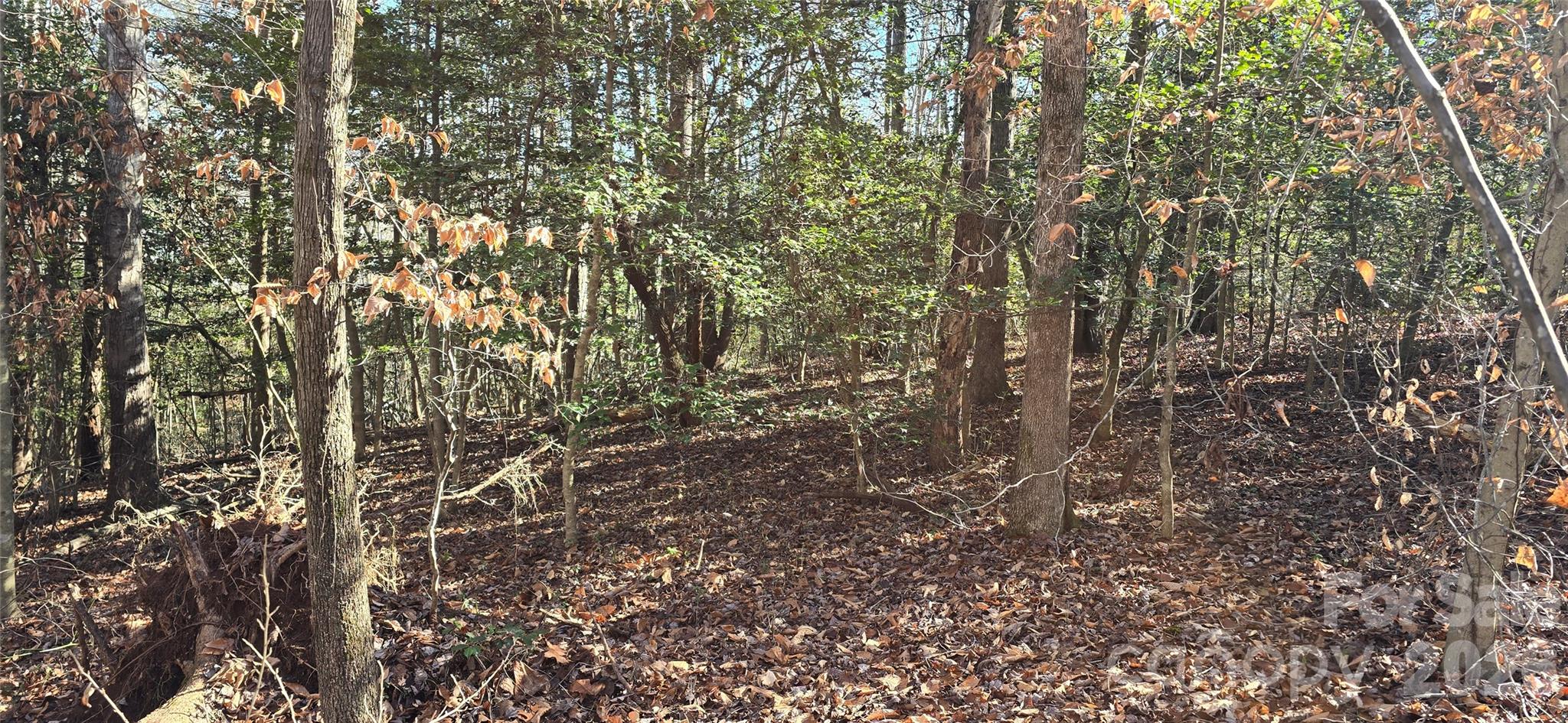0 Peak Place Lenoir NC 28645