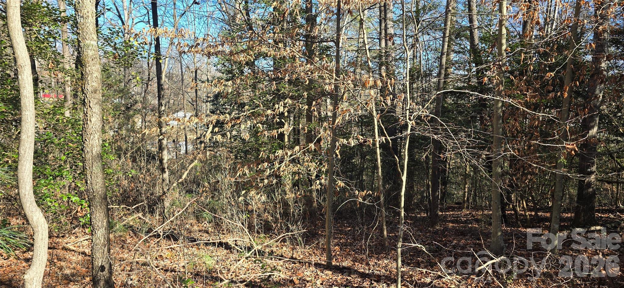 0 Peak Place Lenoir NC 28645
