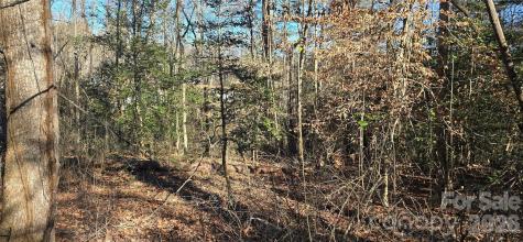 0 Peak Place Lenoir NC 28645