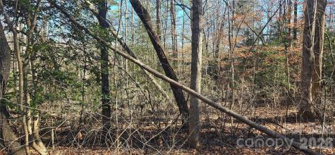 0 Peak Place Lenoir NC 28645