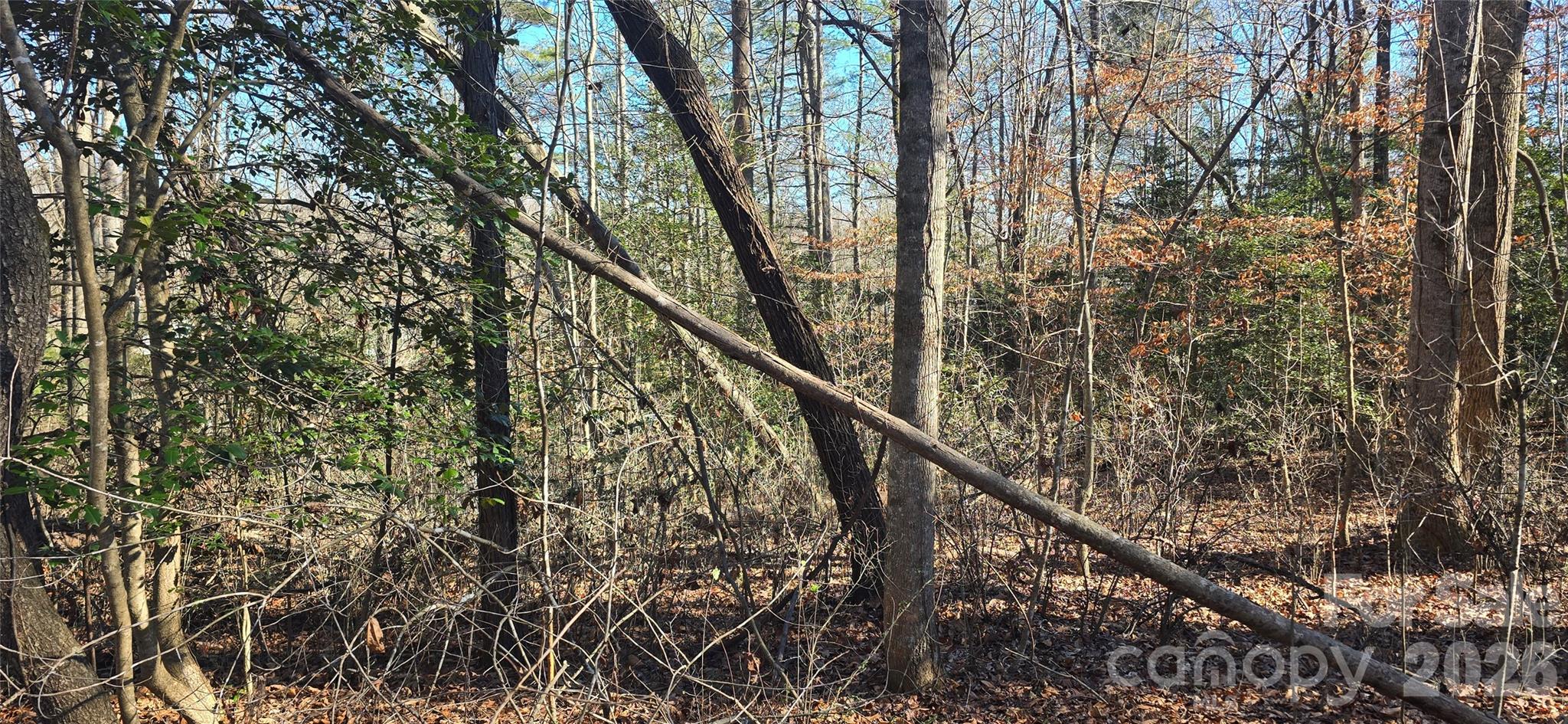 0 Peak Place Lenoir NC 28645