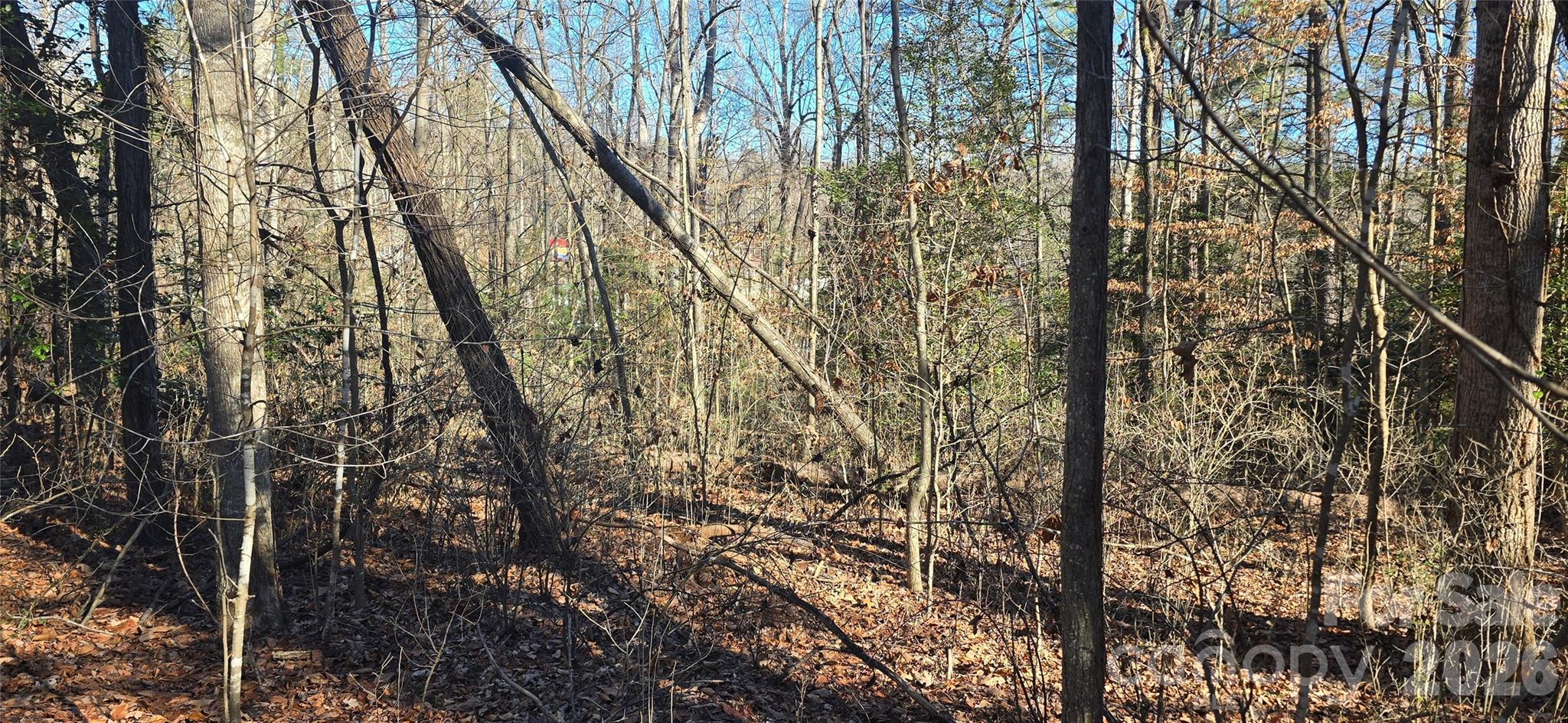 0 Peak Place Lenoir NC 28645