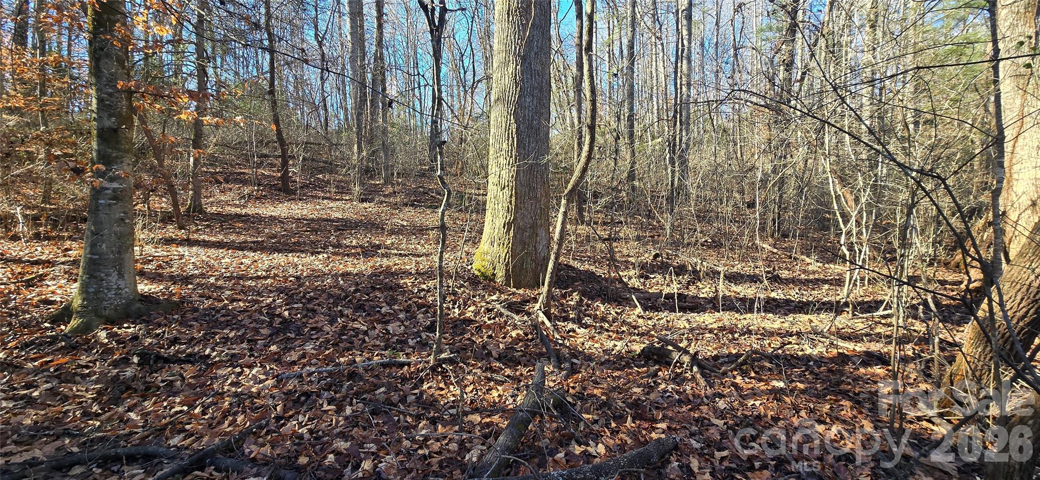 0 Peak Place Lenoir NC 28645