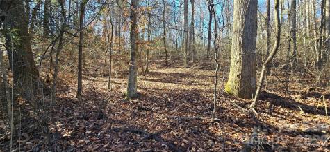0 Peak Place Lenoir NC 28645