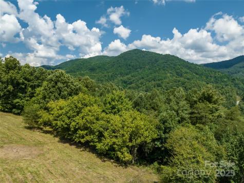 101 Red Maple Run Marshall NC 28753