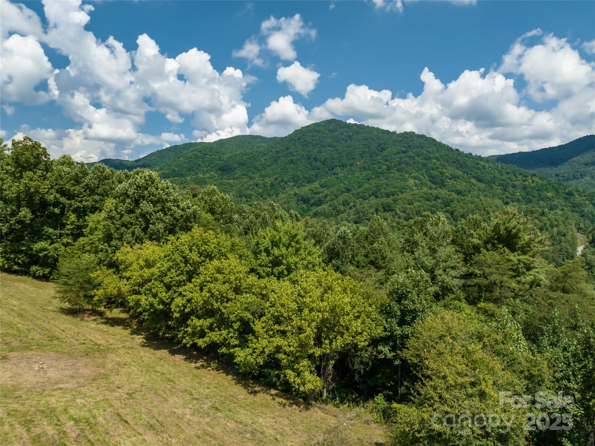 101 Red Maple Run Marshall NC 28753