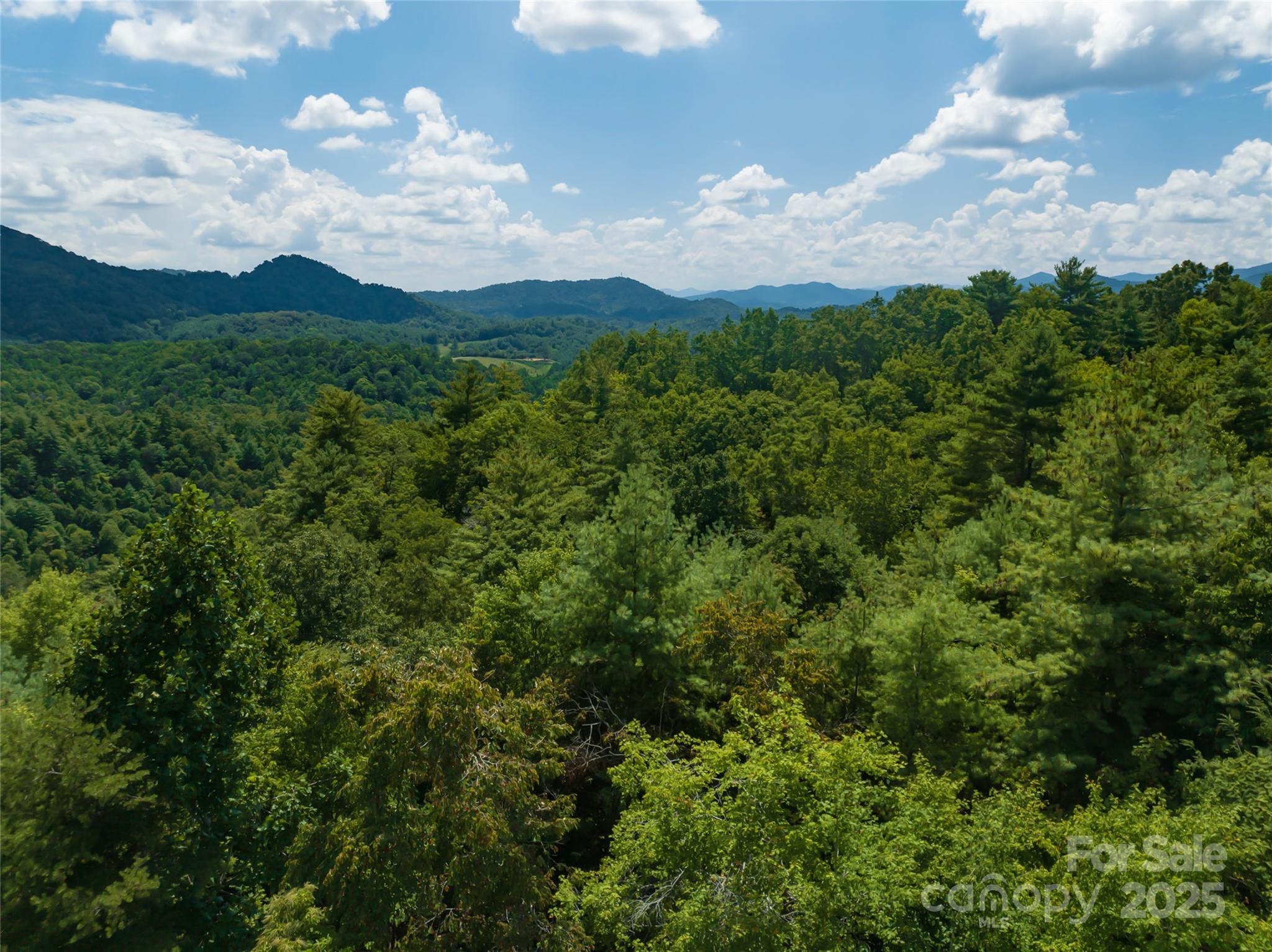 101 Red Maple Run Marshall NC 28753
