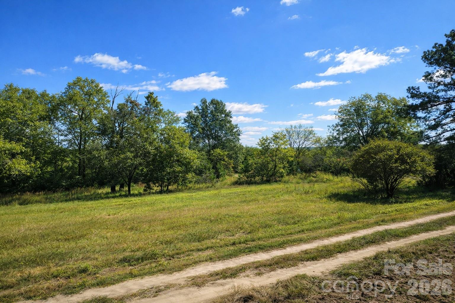 553 Avents Lane Nashville NC 27856