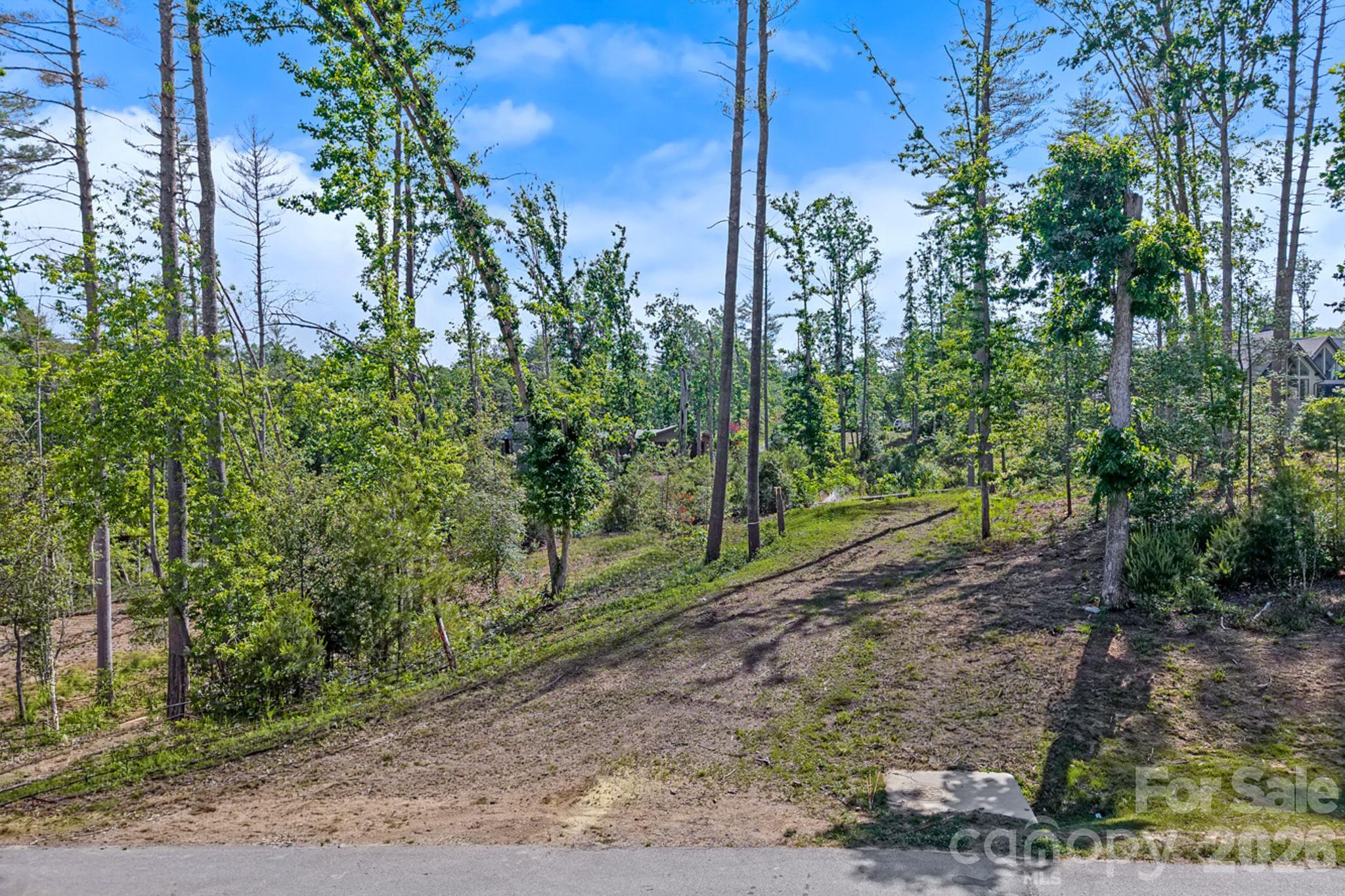 325 Flowering Vine Court Asheville NC 28803