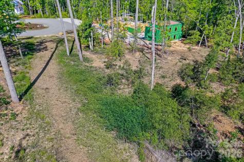 325 Flowering Vine Court Asheville NC 28803