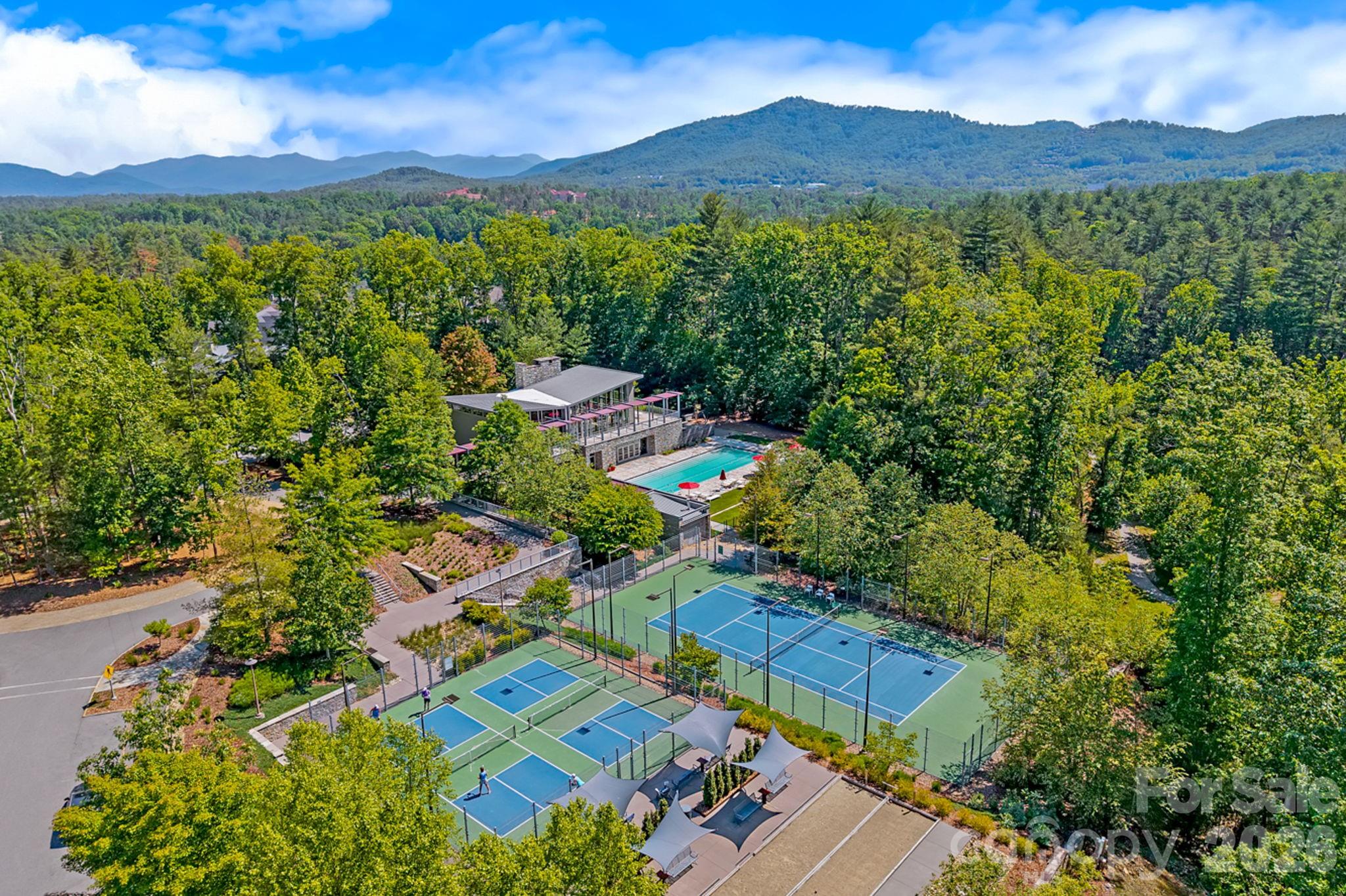 325 Flowering Vine Court Asheville NC 28803