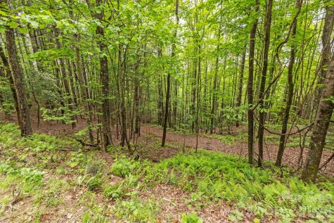 1325 Golden Road Lake Toxaway NC 28747