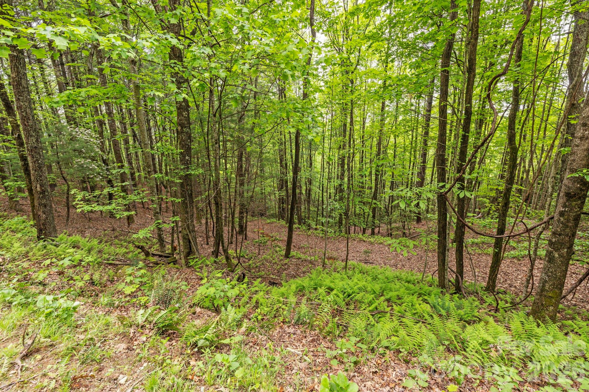1325 Golden Road Lake Toxaway NC 28747