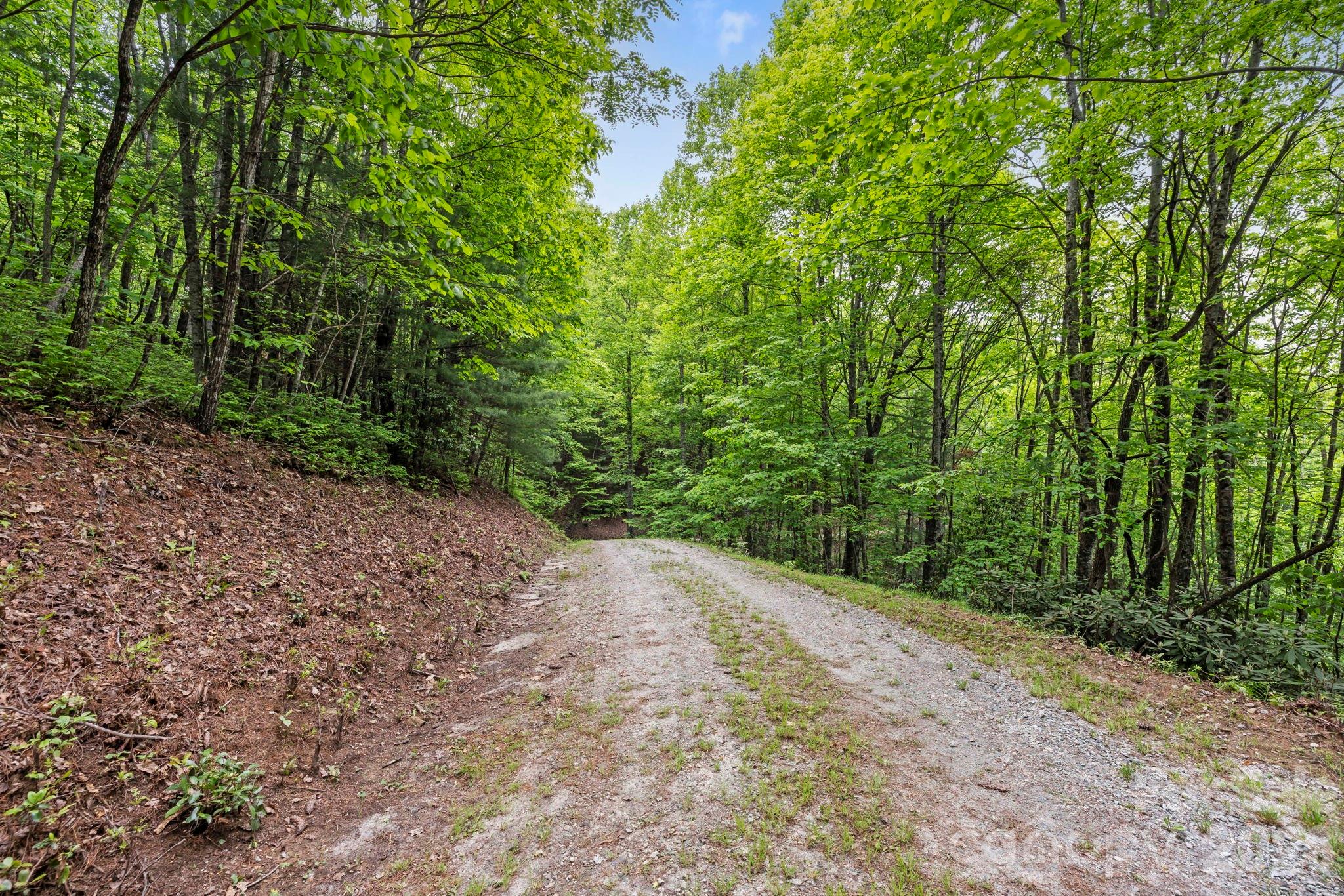 1325 Golden Road Lake Toxaway NC 28747