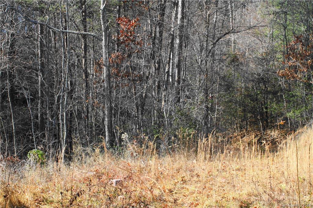 114 Beaverdam Loop Road Candler NC 28715