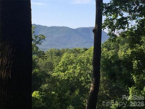 20 Lagrange Drive Asheville NC 28805
