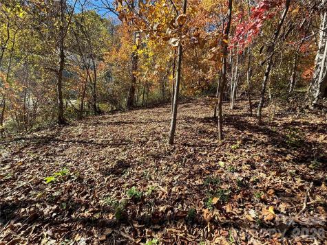 20 Lagrange Drive Asheville NC 28805