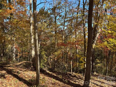 20 Lagrange Drive Asheville NC 28805