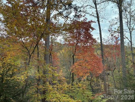 20 Lagrange Drive Asheville NC 28805
