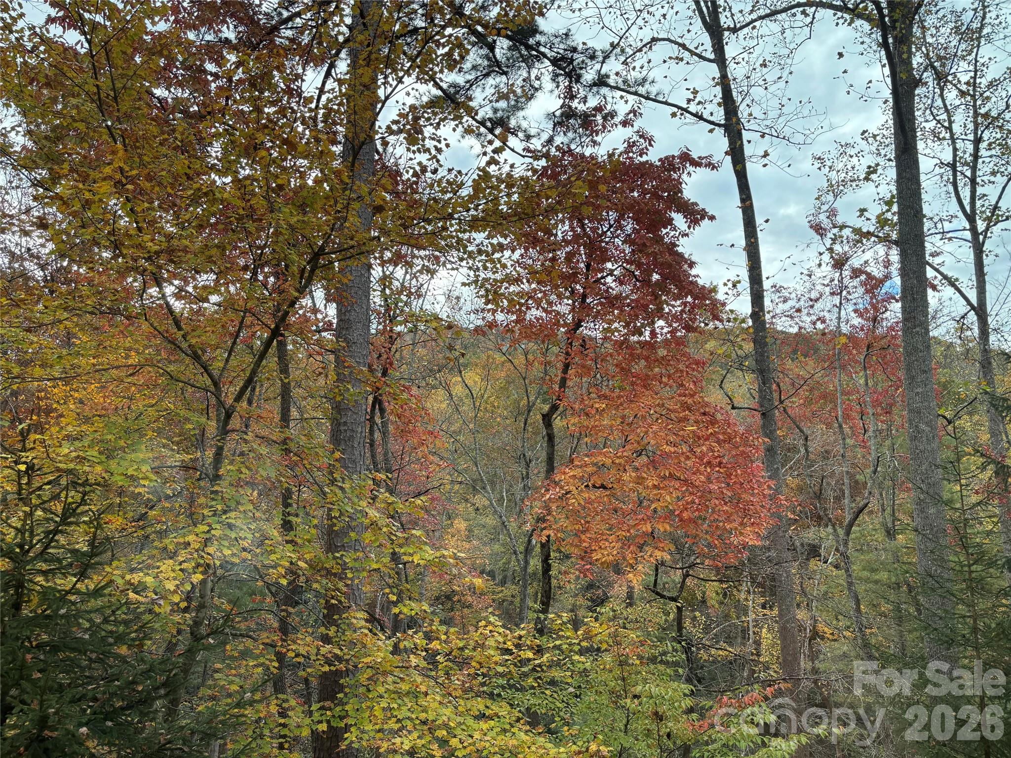 20 Lagrange Drive Asheville NC 28805