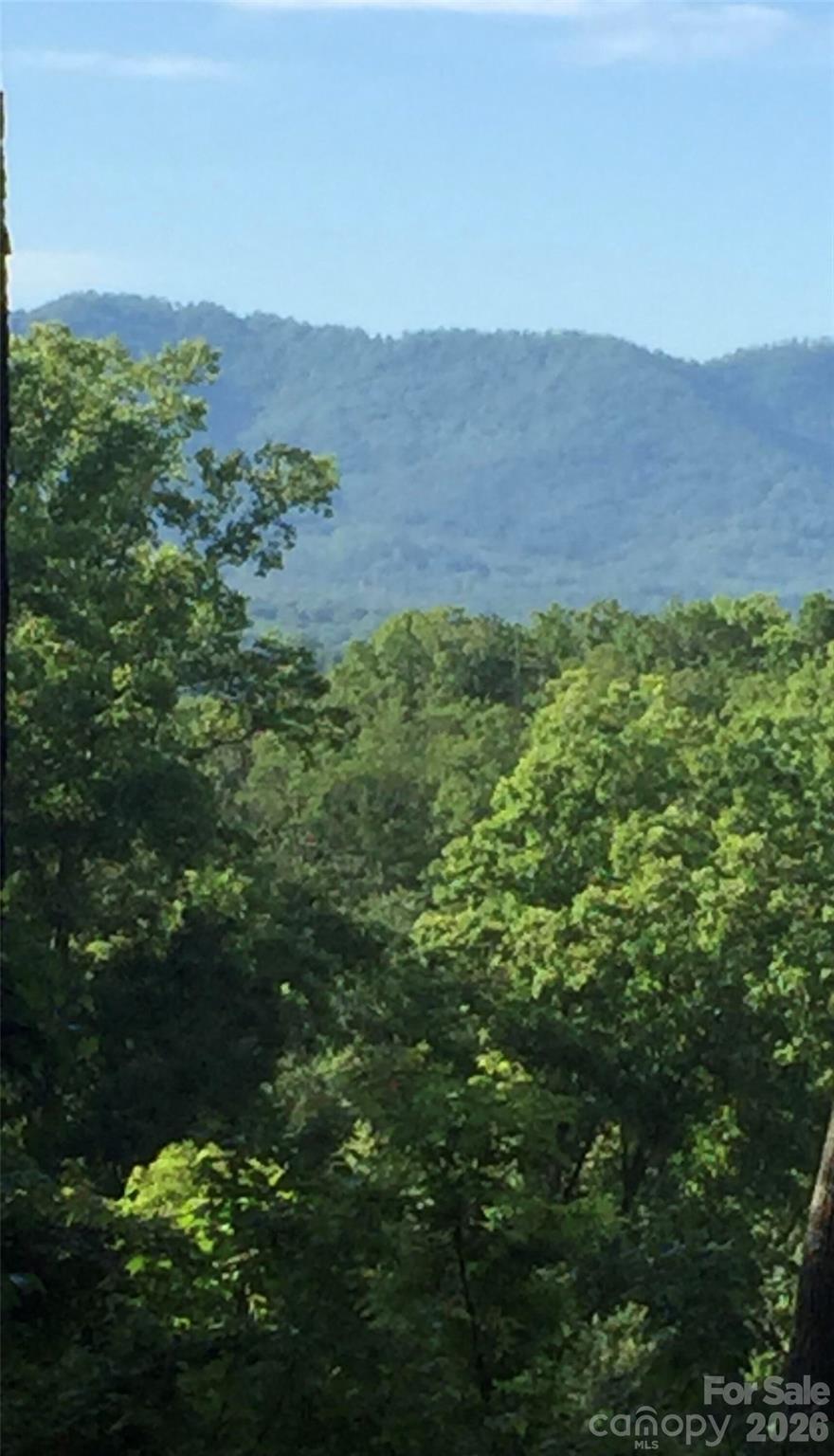 20 Lagrange Drive Asheville NC 28805