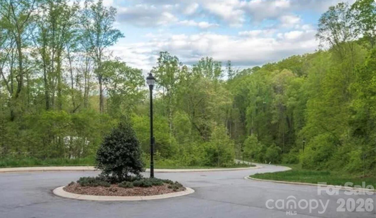 20 Lagrange Drive Asheville NC 28805